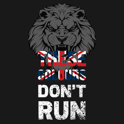 Patriotic T Shirt These Colours Don't Run