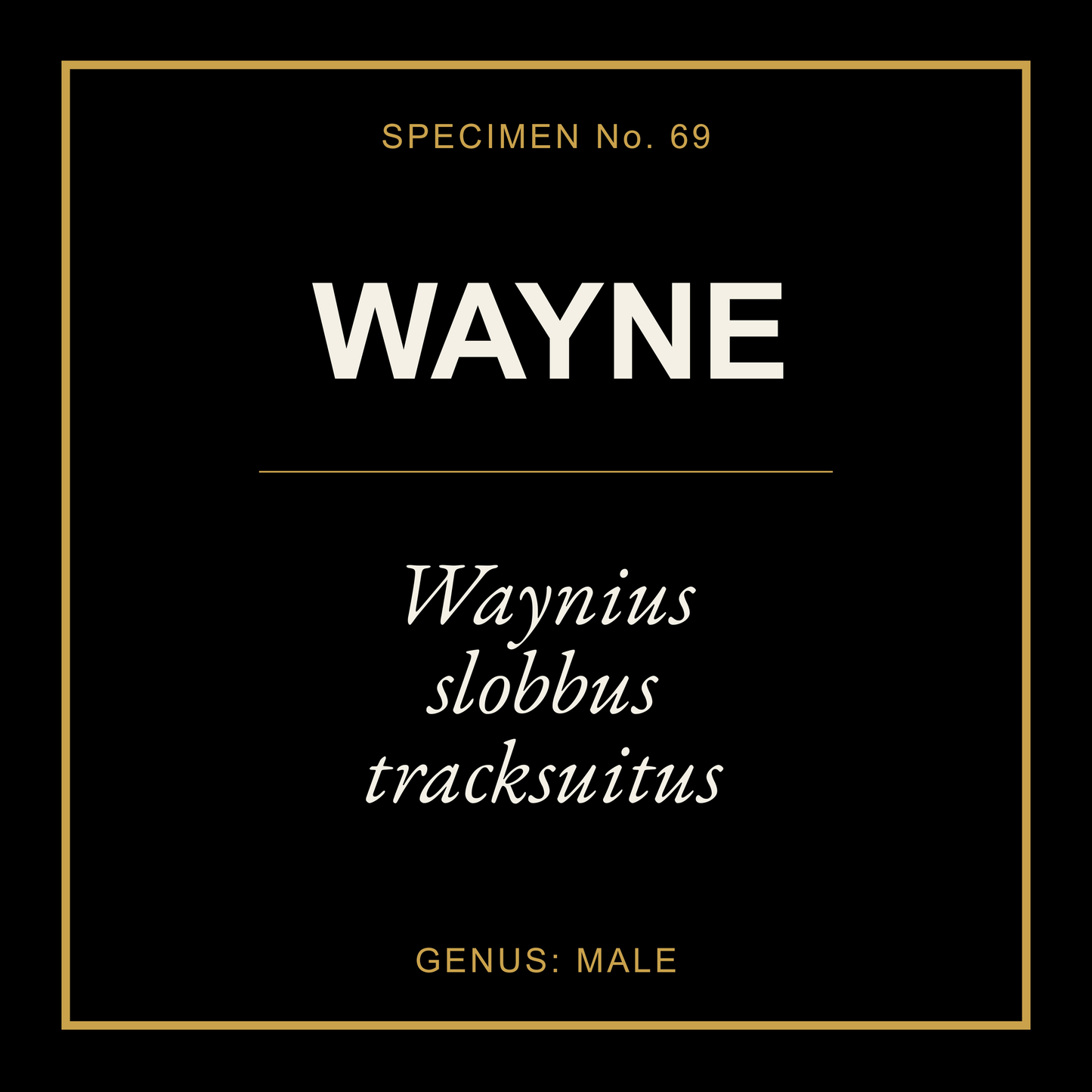 Wayne Gift Idea T Shirt