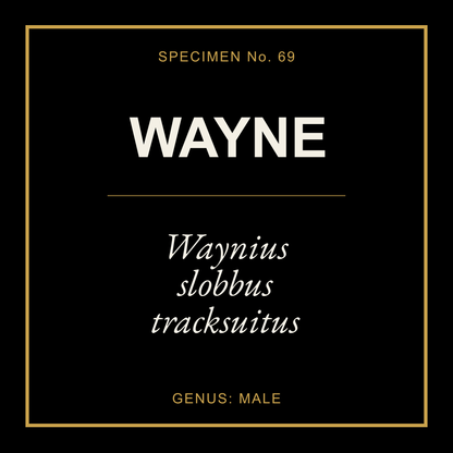 Wayne Gift Idea T Shirt