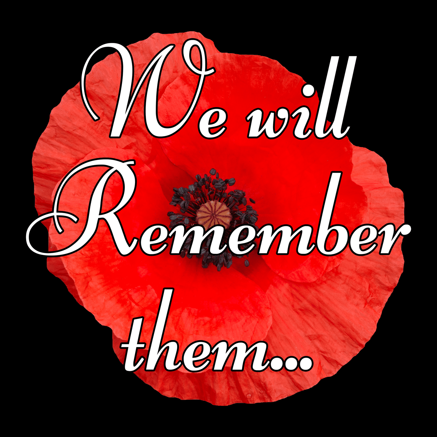Remembrance Day Hoodie We Will Remember Them