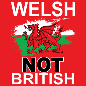 Welsh Not British T Shirt