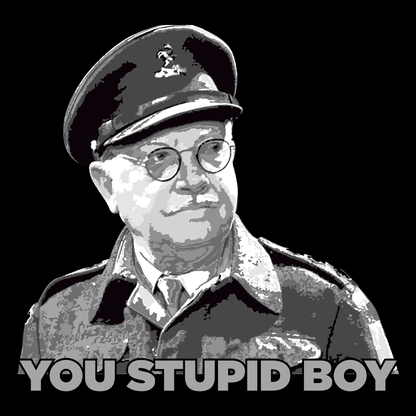 You Stupid Boy T Shirt