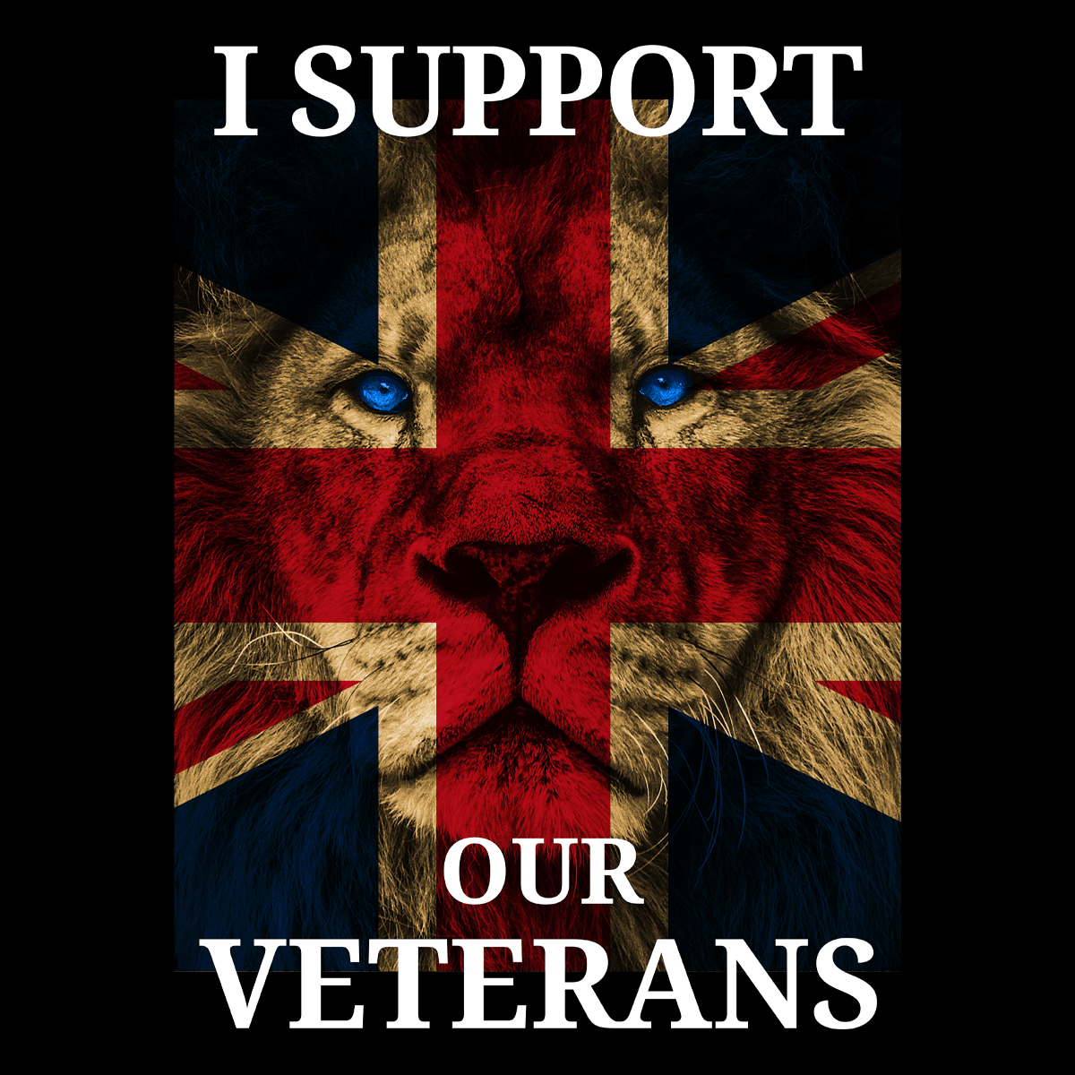 I Support Our Veterans T Shirt